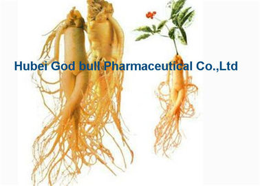 China Polvo herbario amarillo claro del extracto, extracto de la raíz del ginseng de Panax del grado médico proveedor