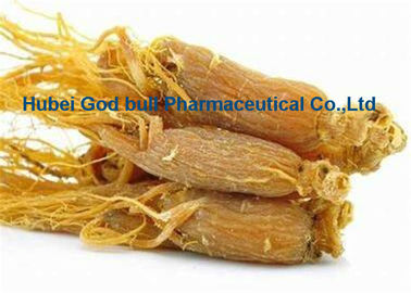 China Extracto rojo amarillo claro de alimentación del ginseng de Panaxoside del polvo herbario del extracto proveedor