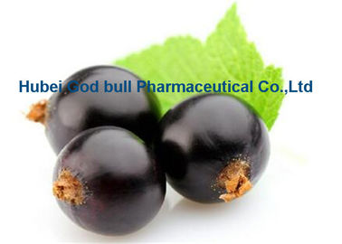 China Ribes púrpura oscuro Nigrum L del extracto de la grosella negra para CAS antienvejecedor 84082-34-8 proveedor