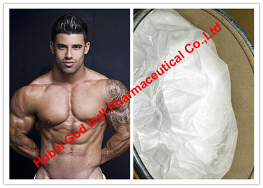 China La testosterona basó los esteroides/Mestanolone Ace para el músculo que construía CAS 521-11-9 proveedor
