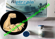 China Levantamiento de pesas 100iu de Hgh de la hormona de crecimiento humano de Riptropin/entrega de la caja fuerte del equipo compañía