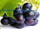 Ribes púrpura oscuro Nigrum L del extracto de la grosella negra para CAS antienvejecedor 84082-34-8 proveedor