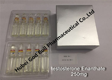 China calidad estupenda anabólica inyectable de la inyección 250mg/ml 1ml/vial de los esteroides del enanthate de la testosterona distribuidor