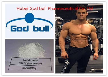 China Polvo crudo esteroide 62-90-8 de Phenylpropionate Deca Durabolin del Nandrolone proveedor