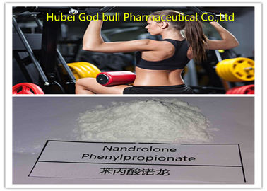 China Aptitud del esteroide del ciclo del polvo de Phenylpropionate 62-90-8 del Nandrolone que abulta proveedor