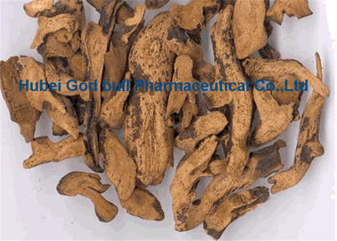China Amarillo pardusco del polvo 1-1-38 herbario del extracto de Rhizoma Drynariae para el dolor del lanzamiento proveedor