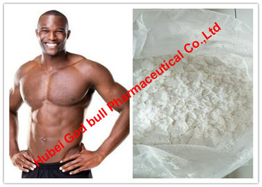 China Testosterona Undecanoate/bajo esteroide anabólico con la pureza del 99%, polvo blanco de la testosterona proveedor