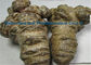 Extracto herbario natural de la raíz de Panax Notoginseng de la multa de Brown del polvo del extracto proveedor
